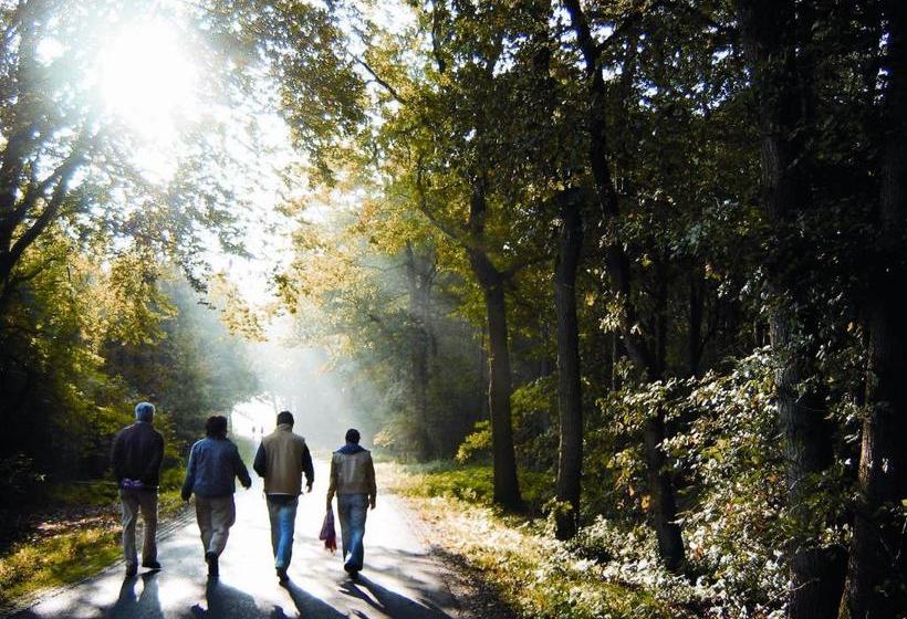 Stayokay Hostel Apeldoorn