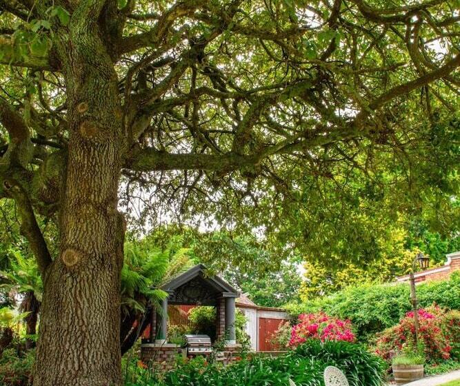 Alexandria Bed And Breakfast