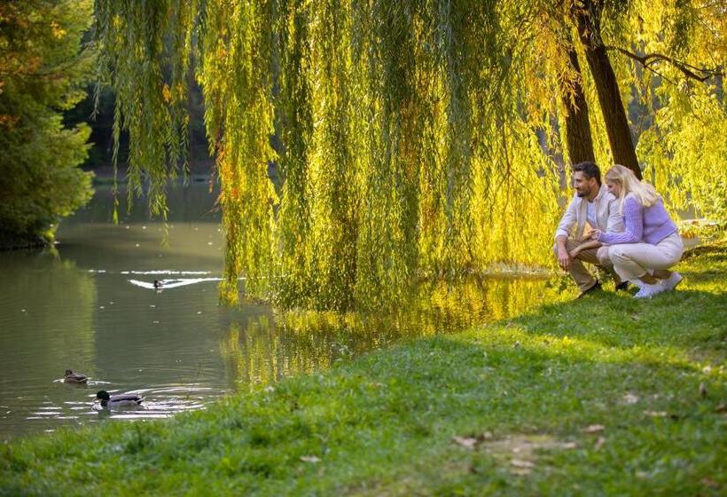 Ambient Hotel & Aroma Spa