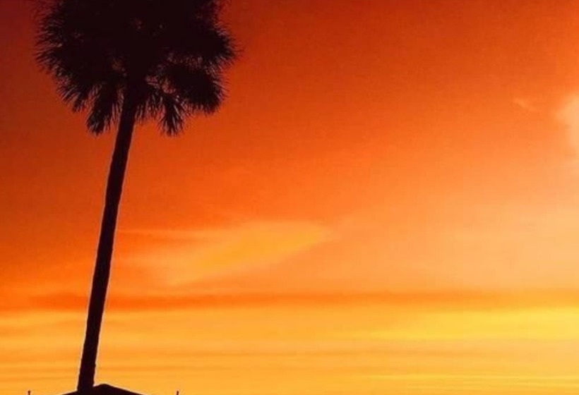 مبيت وإفطار Black Dolphin Inn