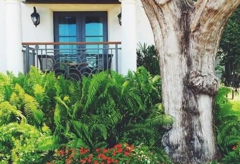 مبيت وإفطار Black Dolphin Inn