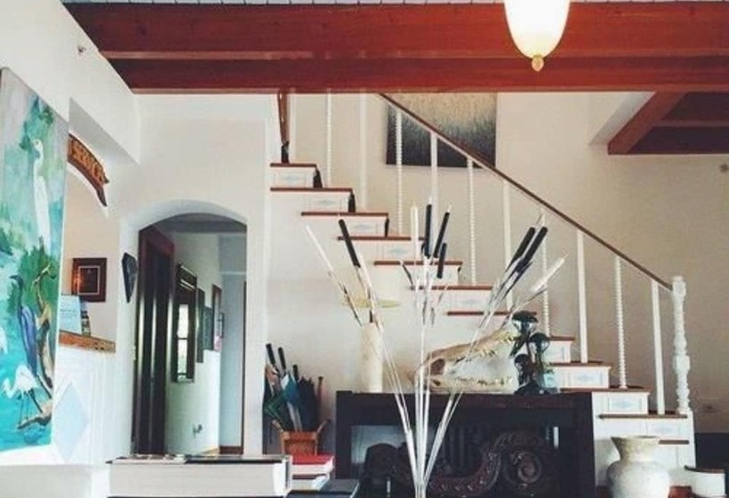 مبيت وإفطار Black Dolphin Inn