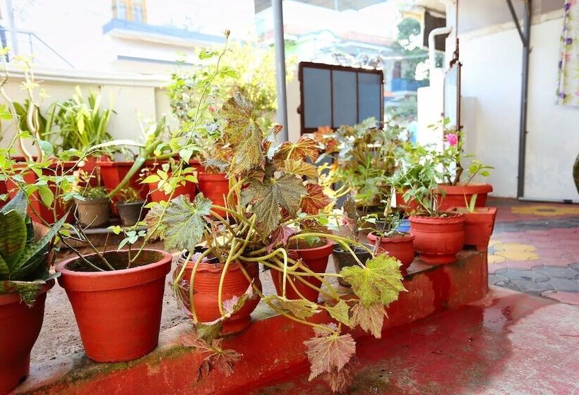 Bed and Breakfast Honolulu Home