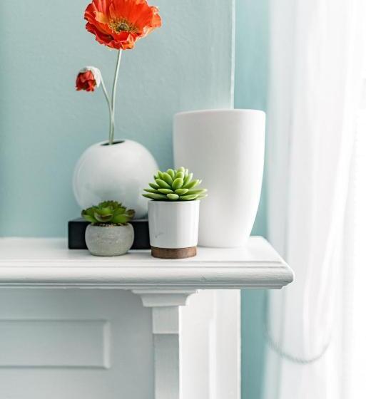 تختخواب و صبحانه Meadows Inn