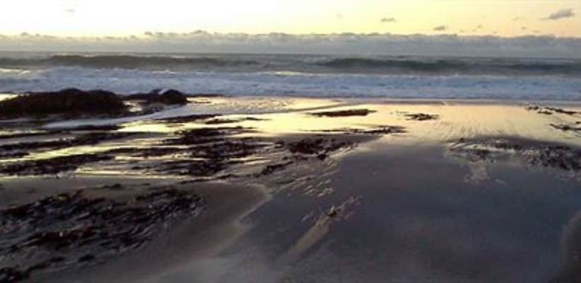 ベッドアンドブレックファースト Salmonberry Inn & Beach House