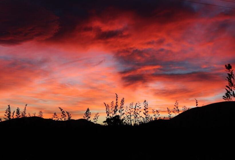 تختخواب و صبحانه The Summit Lodge