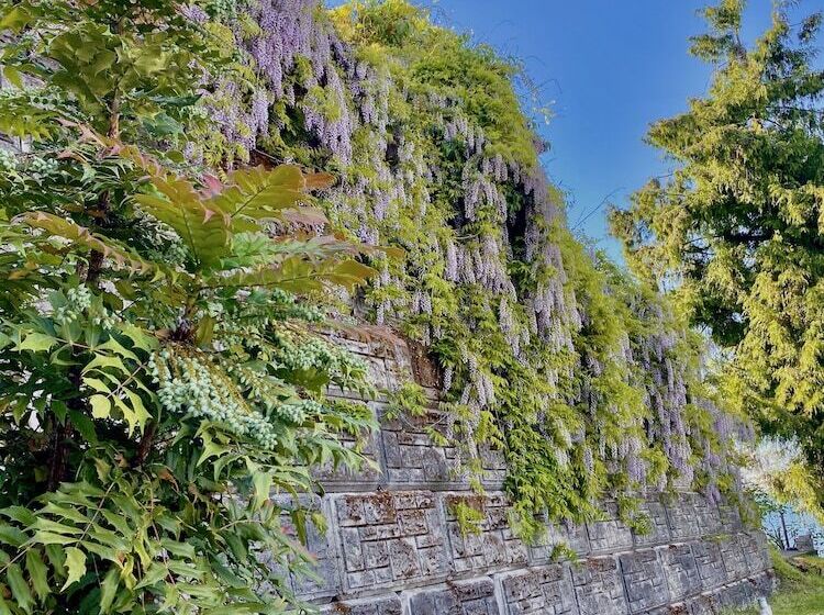 Eagle Rock Bed And Breakfast