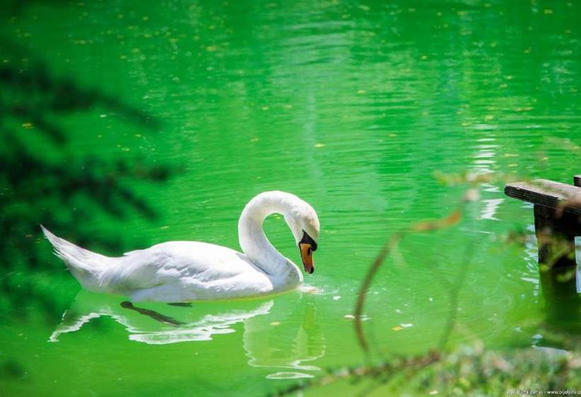 هتل Ethno Village Stanisici