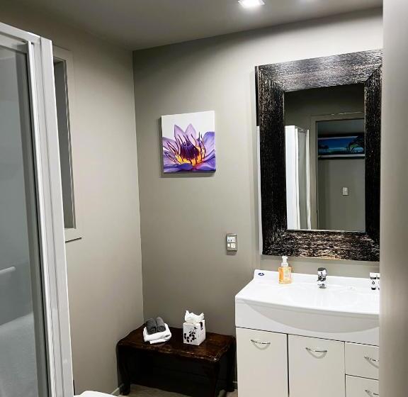 Fiordland Lakeview Motel And Apartments