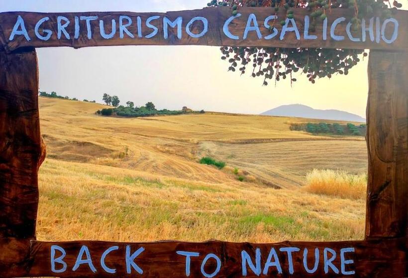 בית מלון כפרי Agriturismo Casalicchio