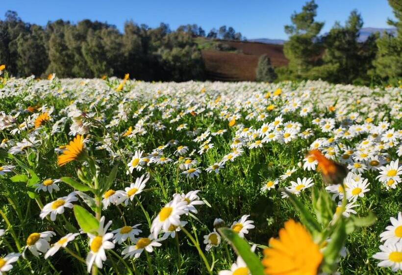 בית מלון כפרי Agriturismo Casalicchio