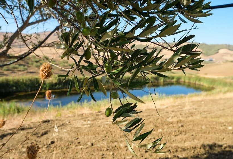 בית מלון כפרי Agriturismo Casalicchio