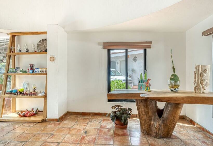 فندق Arana Tonalá