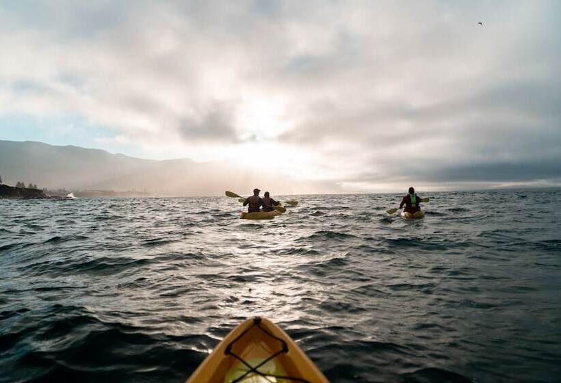 호텔 Birkenhead House