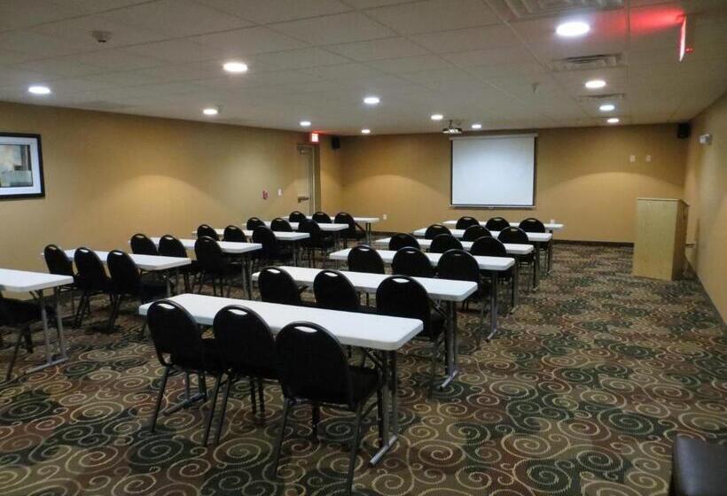 בית מלון כפרי Cobblestone Inn & Suites   Harper