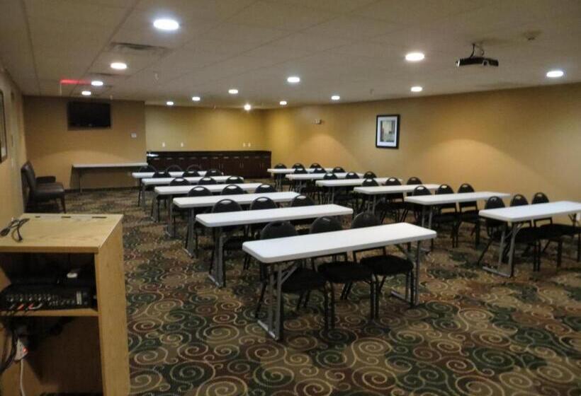 فندق Cobblestone Inn & Suites   Harper