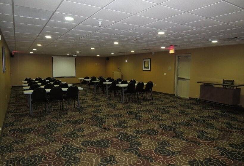 בית מלון כפרי Cobblestone Inn & Suites   Harper