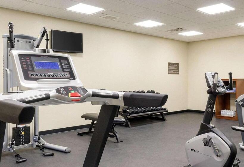 فندق Comfort Inn & Suites