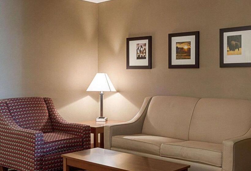 فندق Comfort Inn & Suites