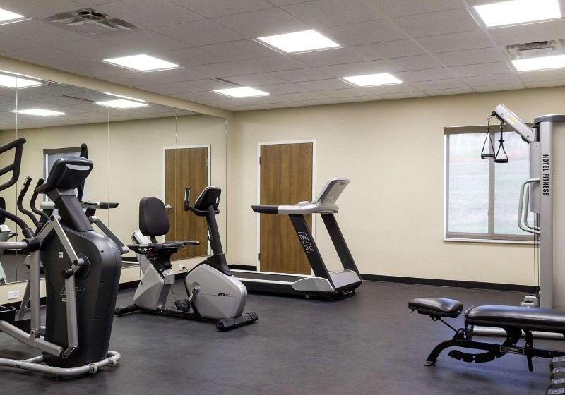 فندق Comfort Inn & Suites