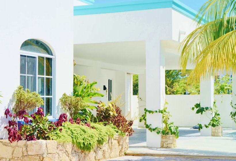 בית מלון כפרי Corales Suites