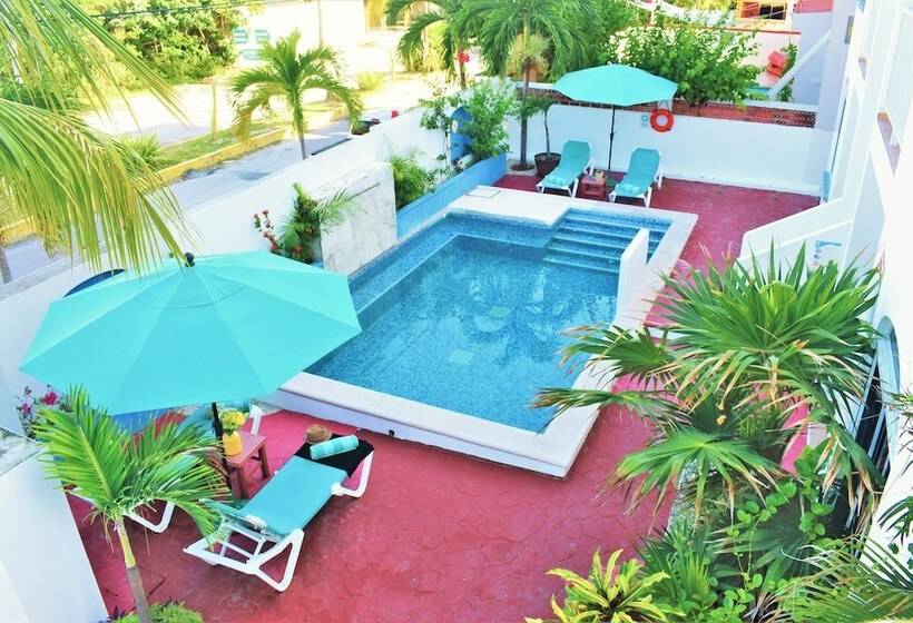 בית מלון כפרי Corales Suites