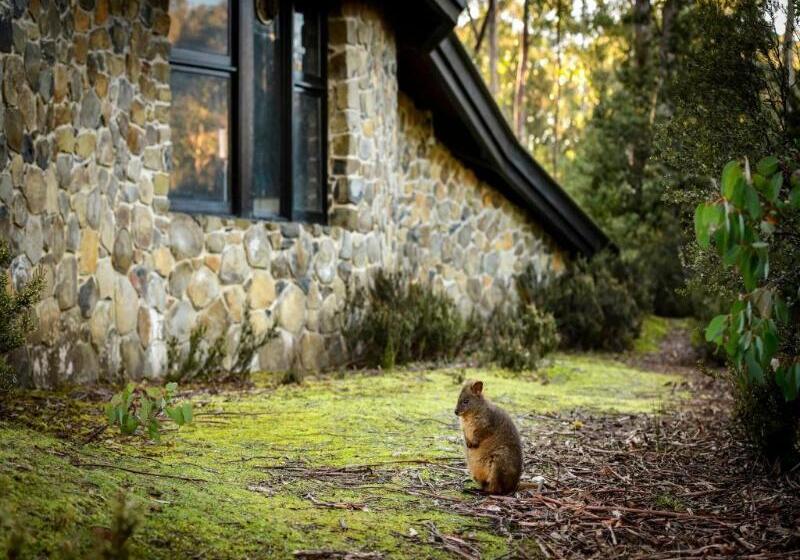 فندق Discovery Parks  Cradle Mountain
