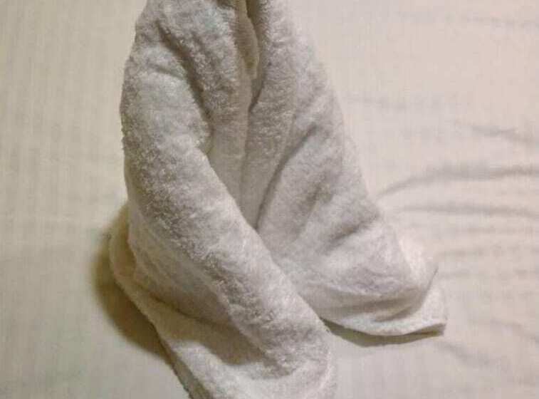 בית מלון כפרי Ecologico Toral