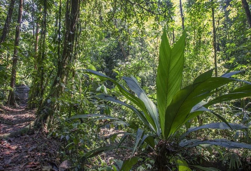فندق Esquinas Rainforest Lodge