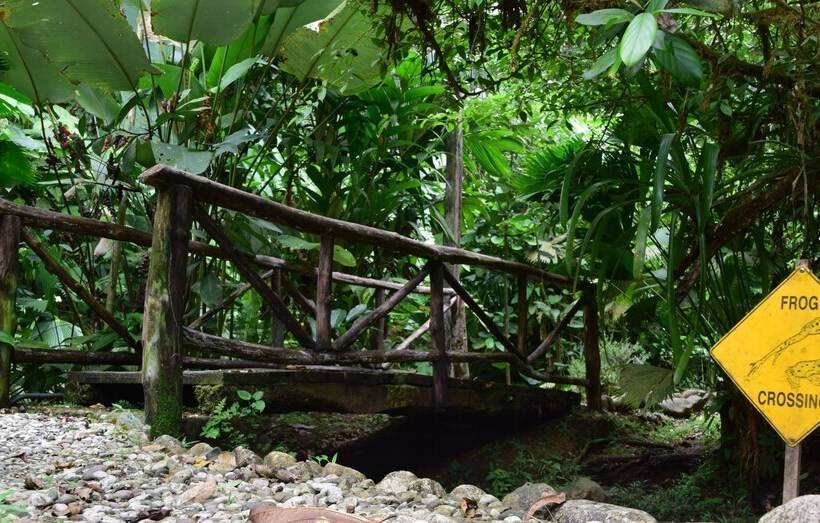 בית מלון כפרי Esquinas Rainforest Lodge