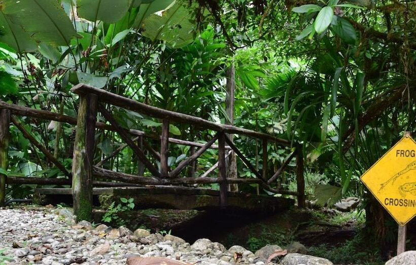 בית מלון כפרי Esquinas Rainforest Lodge