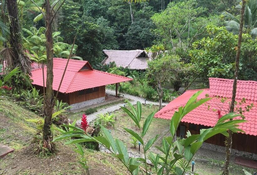 فندق Esquinas Rainforest Lodge