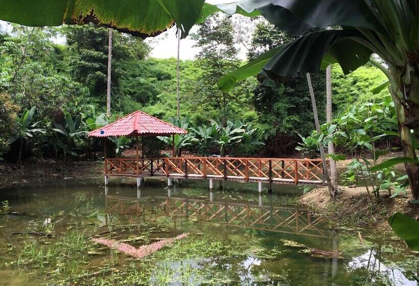בית מלון כפרי Esquinas Rainforest Lodge