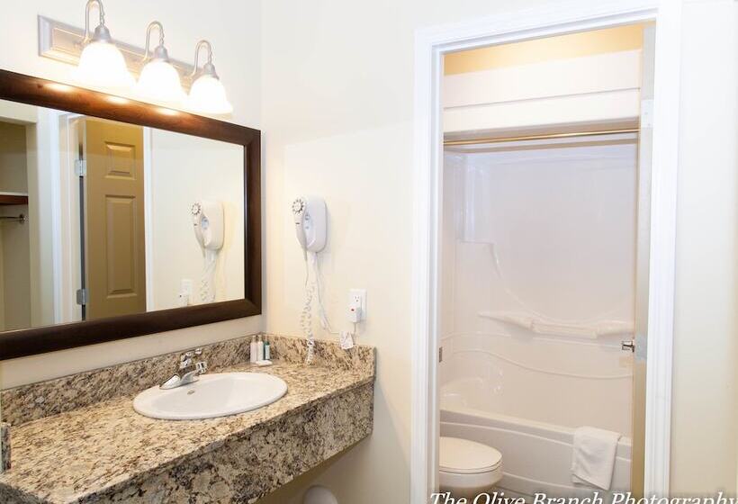 فندق Hinton Lodge