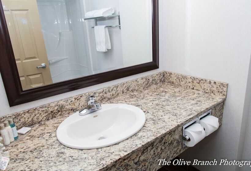 فندق Hinton Lodge