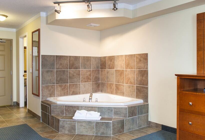 فندق Hinton Lodge