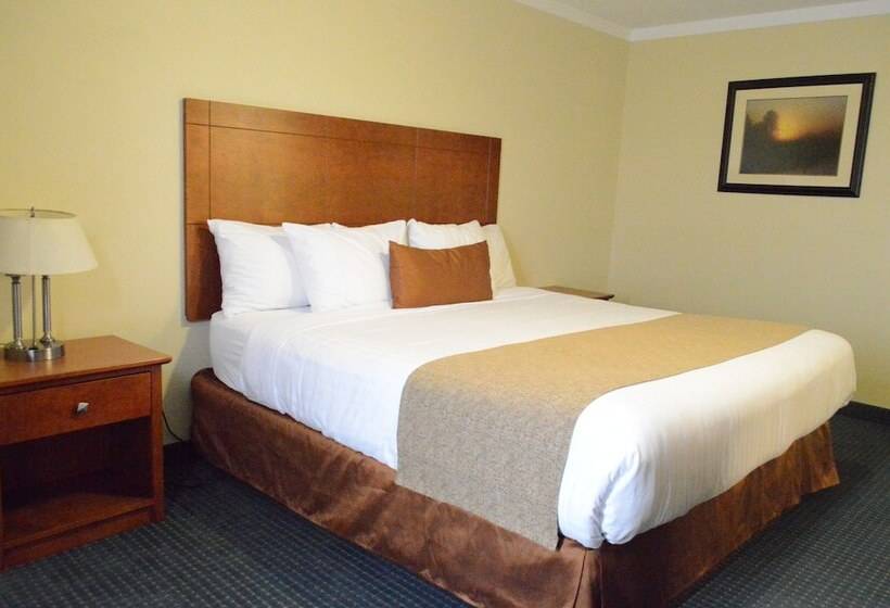 فندق Hinton Lodge