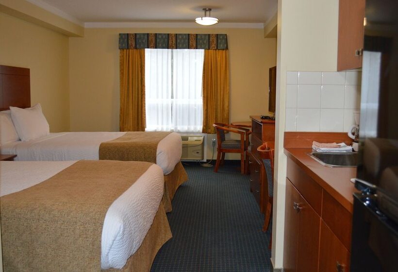 فندق Hinton Lodge