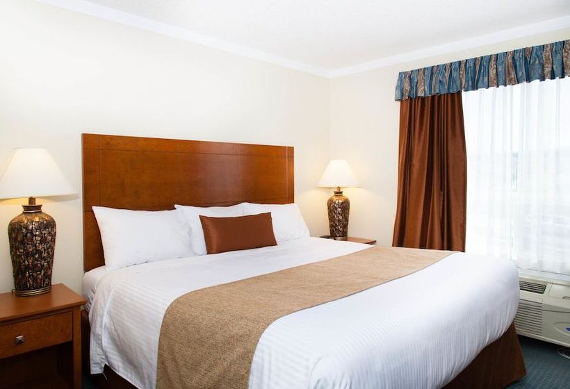 فندق Hinton Lodge