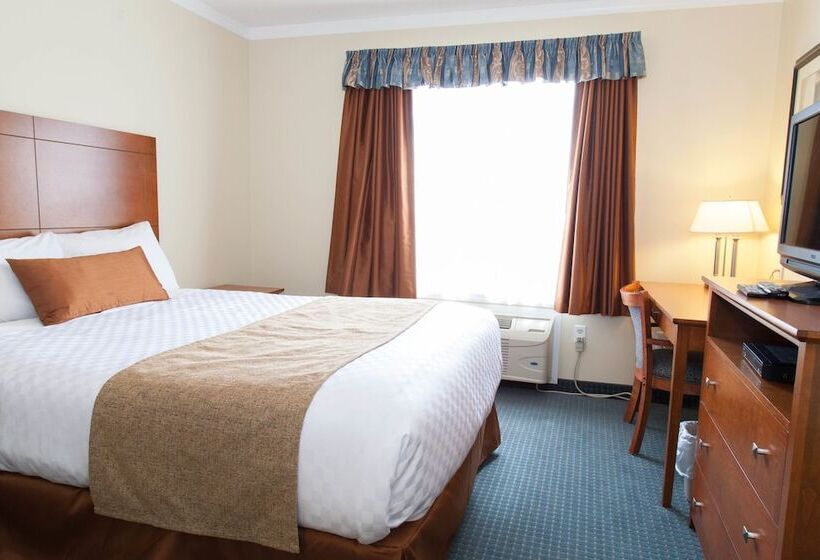 فندق Hinton Lodge