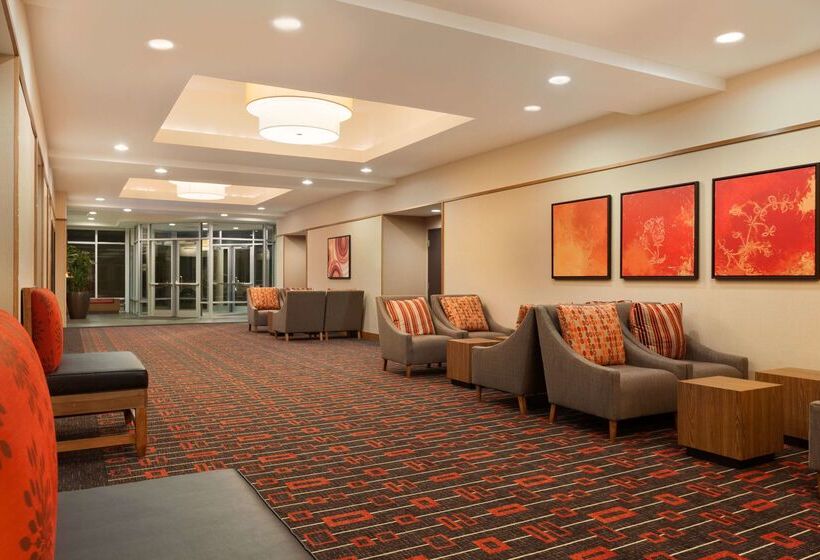 ホテル Hyatt Place Houston/the Woodlands