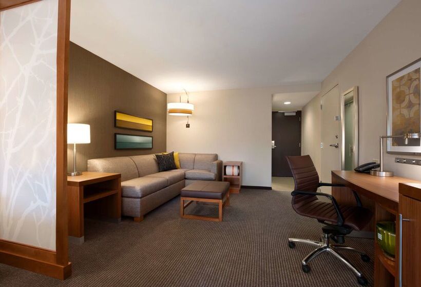 ホテル Hyatt Place Houston/the Woodlands