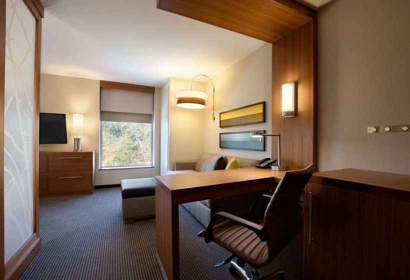 ホテル Hyatt Place Houston/the Woodlands