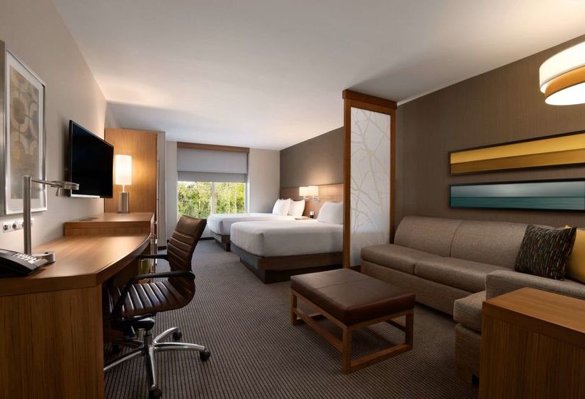 ホテル Hyatt Place Houston/the Woodlands