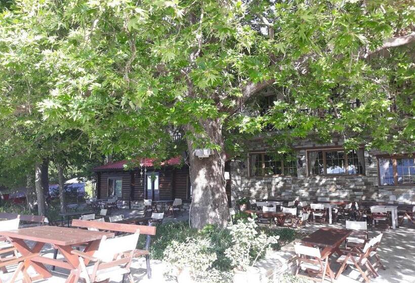 酒店 Manthos Mountain Resort & Spa