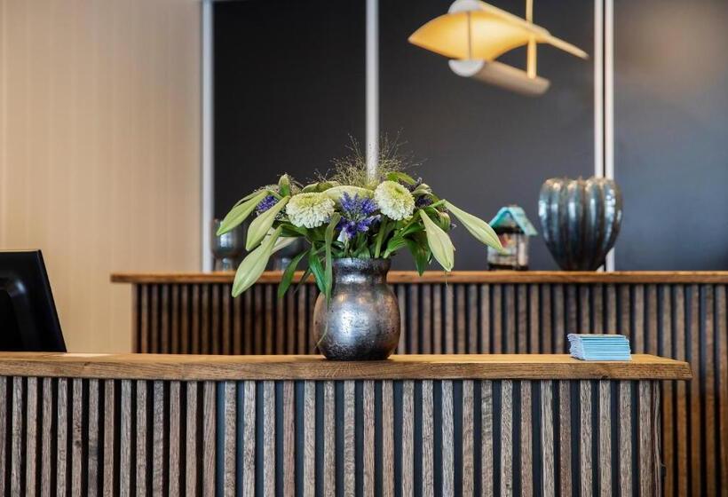 בית מלון כפרי Medi