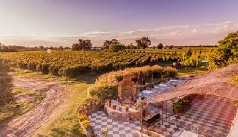 هتل Narbona Wine Lodge