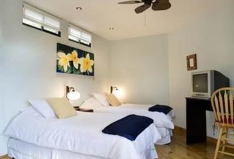 호텔 Out Of Bounds