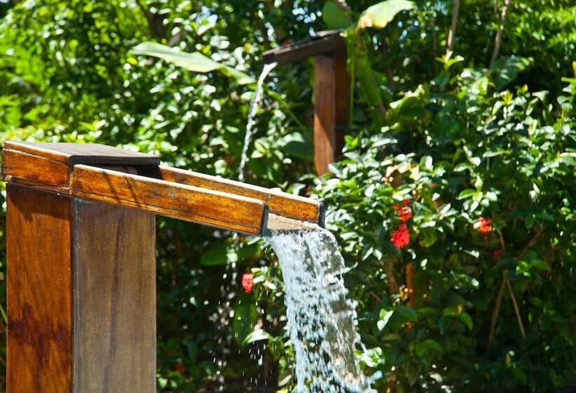 酒店 Pousada Lua Cheia