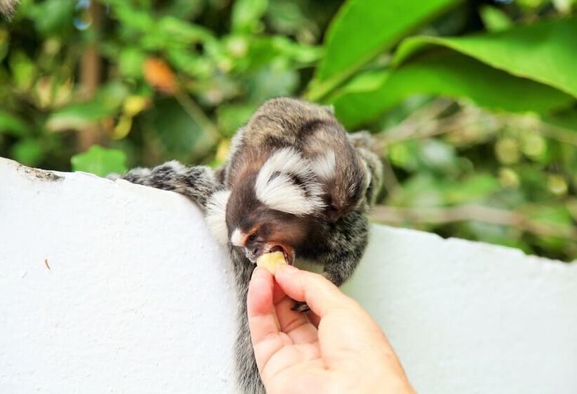 酒店 Pousada Lua Cheia